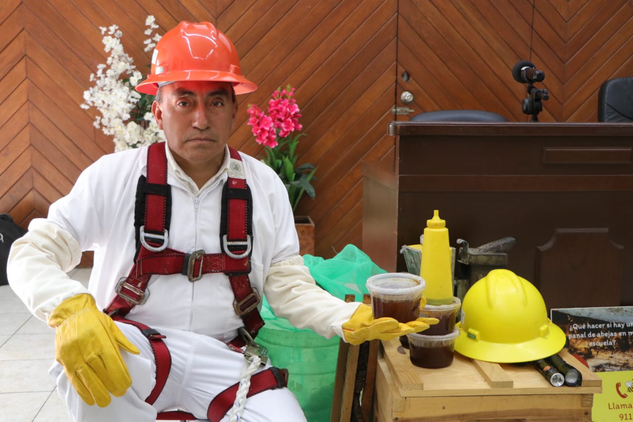 Mazatlán primer municipio de Sinaloa en trabajar en la protección y el rescate de abejas