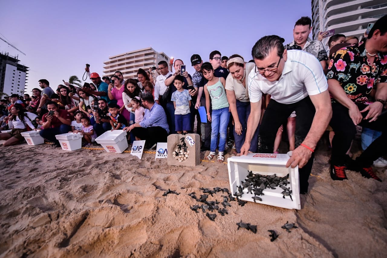 Abandera Edgar González junto a cientos de niños y niñas primera liberación de tortugas